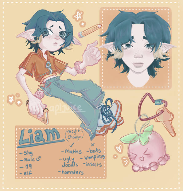 Liam character sheet